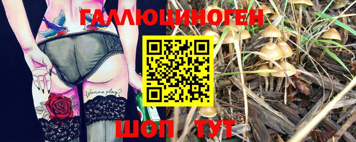 Ангарск  Галлюциногенные грибы Cubensis  Вход с VPN 
